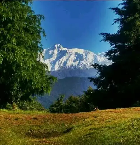 file - 2026-04-28T155200.739.webp